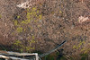 SmugMug > keywords > rocks > Lichen on granite.

Hidden Valley,
Joshua Tree National Park,
Southern California.