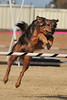 SmugMug > keywords > apache > Calistoga Wine Passport (2009-12-06) photo