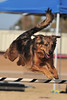 SmugMug > keywords > apache > Calistoga Wine Passport (2009-12-06) photo