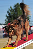 SmugMug > all-time keyword > apache > New Mexico photo
