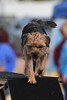SmugMug > keywords > apache > Calistoga Wine Passport (2009-12-06) photo