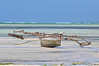 SmugMug > keywords > dhow > Travels in the Sultanate of Oman photo