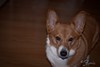 SmugMug > keywords > diamond > Also Shared on Flickr >  leland