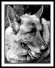 SmugMug > all-time keyword > kilo > Kilo Kit and mechanical photo