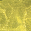 SmugMug > all-time keyword > secure > Yellow Bubble-wrap