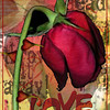 SmugMug > all-time keyword > hurts > Charles Riggs Family >  Love Hurts web3