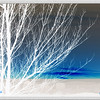 SmugMug > all-time keyword > inverted > Ken's Album photo