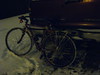SmugMug > keywords > ride > Horses & Mules photo