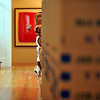 SmugMug > keywords > packed > Ready to ship, Bellevue, WA
