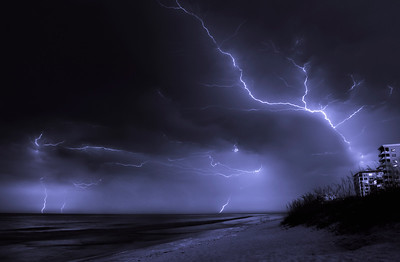 The Best of J.W. Lee Photography 2009 photo