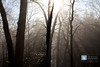 SmugMug > keywords > pad > Thursday February 19, 2009

Foggy morning.