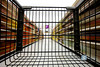 SmugMug > keywords > pad > Tuesday June 2, 2009

Grocery shopping.