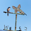 SmugMug > keywords > blows > Windmills photo