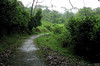 SmugMug > keywords > discovered > La Selva - Nearing End Of Trail When I Discovered I'd Dropped My Map