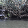 SmugMug > keywords > northwest > Crocodile trap, the Katherine River Gorge, Northern Territory, Australia.