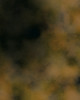 SmugMug > keywords > corner > San Diago photo