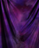SmugMug > keywords > oil > Charlie & Abby The Dachshunds photo