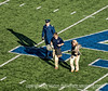 SmugMug > keywords > handler > The cadet handlers of the falcon walk off the field after the flying of the falcon at the Air Force/Army game.