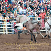 SmugMug > all-time keyword > dismount > Photography by Gary Miller