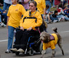 SmugMug > keywords > army > Veteran's Day Parade 2009 photo