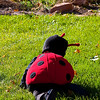 SmugMug > keywords > baby > Keeley's 2nd Year photo