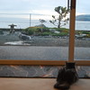 SmugMug > all-time keyword > waits > Sonshine 2009 photo