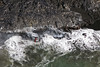 SmugMug > keywords > into > Lava ribbon flowing into the ocean