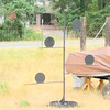 SmugMug > all-time keyword > targets > Just a Shotgun Tree!!!