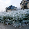 SmugMug > keywords > ice > Holidays photo
