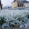 SmugMug > keywords > ice > Holidays photo