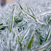 SmugMug > keywords > ice > Holidays photo