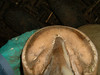 SmugMug > keywords > fla > 042_Marciano_T2_C082 photo