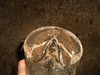 SmugMug > keywords > fla > 042_Marciano_T2_C082 photo