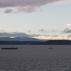 SmugMug > keywords > sound > Puget Sound Barge Traffic