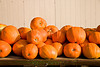 SmugMug > keywords > loads > Load of Pumpkins, Allamakee County, Iowa