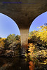 SmugMug > all-time keyword > echo > Echo Bridge
