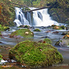 SmugMug > all-time keyword > foreground > New House 2 photo