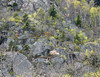 SmugMug > keywords > champlain > Photo a Day - December 2009 photo