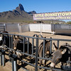 SmugMug > keywords > donkey > Title
Caption