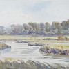 SmugMug > keywords > abbas > Crighton Portfolio >  Itchen Abbas May 19 & 20 1900 B