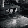 SmugMug > all-time keyword > allan > Detailed Shots >  allan_fe2_0035