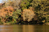SmugMug > all-time keyword > colors > Nov09 photo
