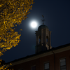 SmugMug > all-time keyword > around > jeniculum photo