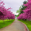 SmugMug > all-time keyword > bremerton > Great Outdoors photo