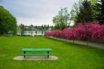 Great Outdoors photo