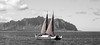 SmugMug > all-time keyword > sail > Studio401 photo