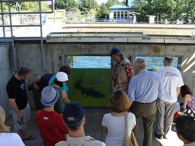 FISH 2009  photo
