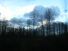 SmugMug > keywords > january > New Year's Day....photos taken while riding in the truck with Hugh and Sofia....I loved taking these, as the trees turned out all blurry, like a watercolor.