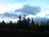 SmugMug > keywords > january > *  January, 2010  * photo
