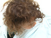 SmugMug > keywords > january > Wild toddler hair.

:oP
